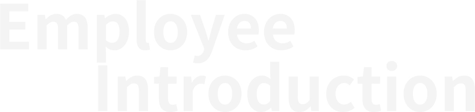 Employee Introduction